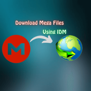 Download Mega Files With IDM