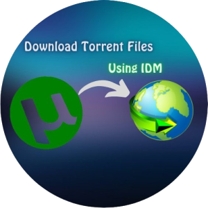 Download Torrent Files With IDM